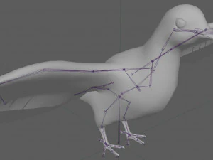 Dove White Pigeon 3D Model