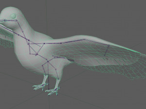 Dove White Pigeon Modelo 3D