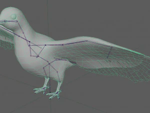 Dove White Pigeon 3D Model