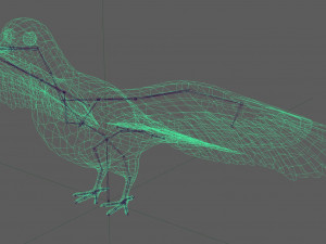 Dove White Pigeon Modelo 3D