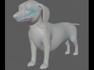 Dachshund Dog Rig 3Dモデル