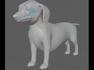 Dachshund Dog Rig 3D Model