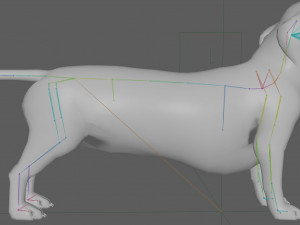 Dachshund Dog Rig 3Dモデル