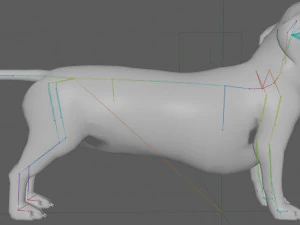 Dachshund Dog Rig 3D Model