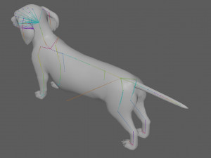 Dachshund Dog Rig 3Dモデル