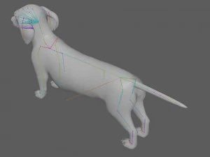 Dachshund Dog Rig 3D Model