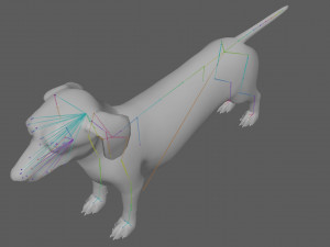Dachshund Dog Rig 3Dモデル