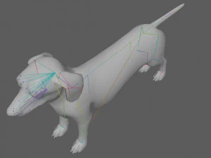 Dachshund Dog Rig 3D Model