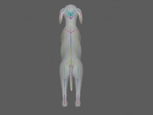 Dachshund Dog Rig 3D Model