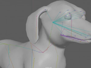 Dachshund Dog Rig 3D Model
