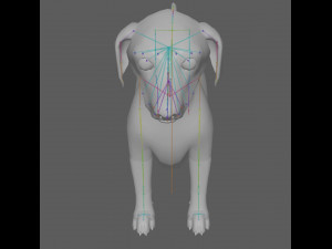 Dachshund Dog Rig 3Dモデル