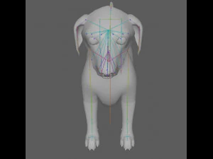 Dachshund Dog Rig 3D Model