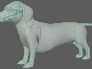 Dachshund Dog Rig 3D Model