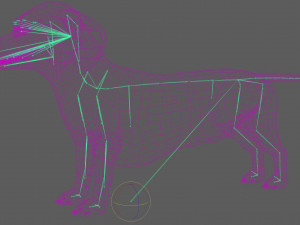 Dachshund Dog Rig 3Dモデル