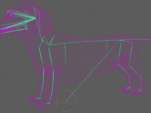 Dachshund Dog Rig 3D Model