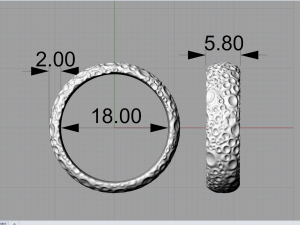 wedding ring craters 3D-Druckmodell