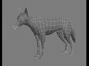 chakal Modelo 3D
