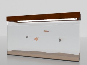 aquarium with light Modèle 3D
