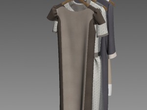 Woman clothes 3D 모델