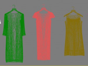 Woman clothes 3D 모델