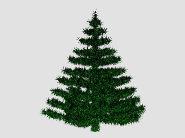 firtree 3D Model .c4d .max .obj .3ds .fbx .stl .blend 