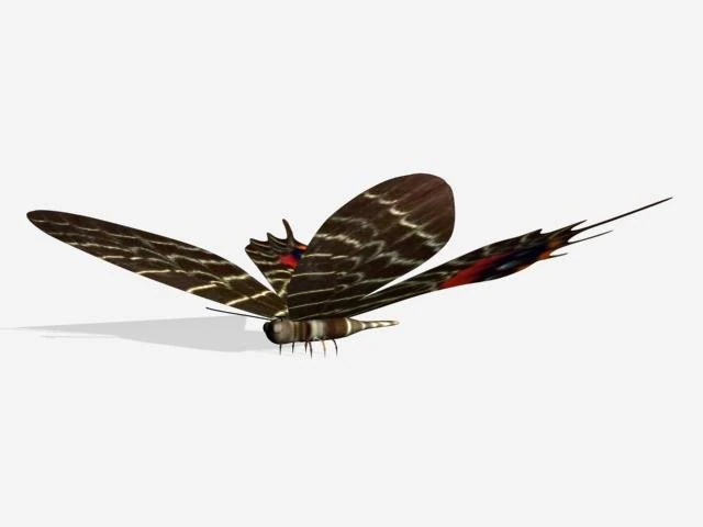 papillon Modèle 3D .c4d .max .obj .3ds .fbx .stl .blend 