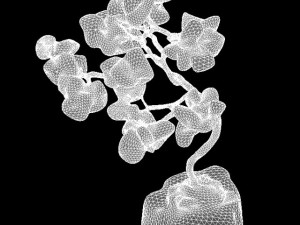 amber tree Model 3D