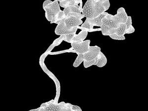 amber tree Model 3D