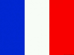 flags 3D Model