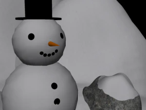 snow package 3D Model