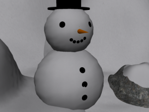 snow package 3D Model