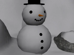 snow package 3D Model