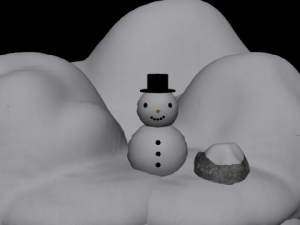snow package 3D Model