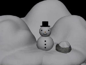 snow package 3D Model