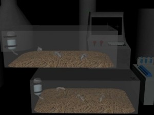 lab equipment package 1 3D Model