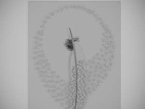 panel bird Modelo 3D