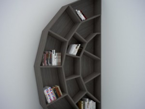 spider web bookcase Model 3D