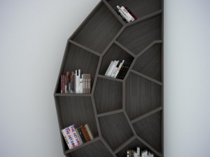 spider web bookcase 3D Модель