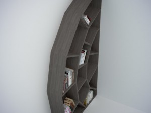 spider web bookcase 3D Модель