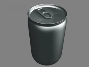 can 3D Model