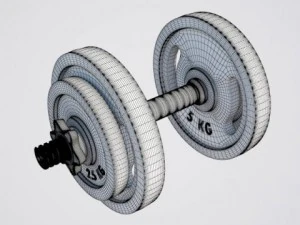 haltere Modelo 3D