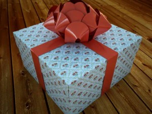 bir tatil paketi kutusu 3D Model