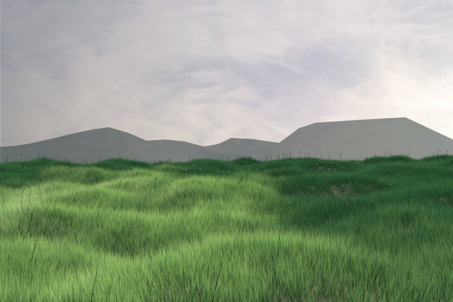 grass Modello 3D .c4d .max .obj .3ds .fbx .stl .blend 