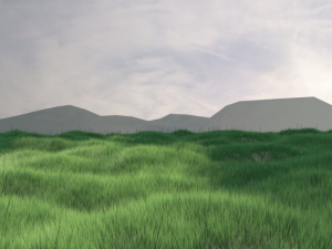 grass 3D-Modell
