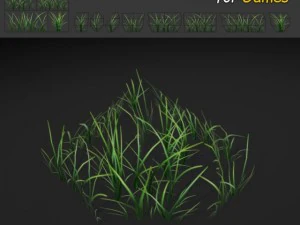 草パッチのテクスチャ 3Dモデル