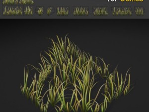 grass patch textures 3D 模型