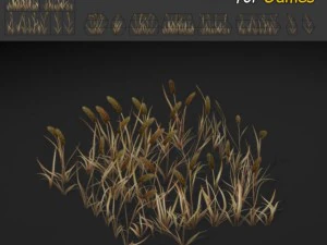 草パッチのテクスチャ 3Dモデル