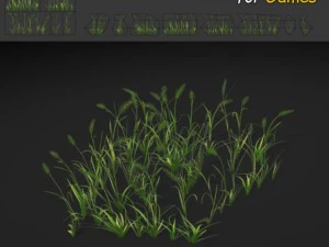 草パッチのテクスチャ 3Dモデル