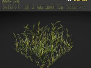 草パッチのテクスチャ 3Dモデル