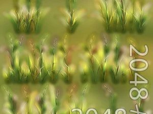 草パッチのテクスチャ 3Dモデル